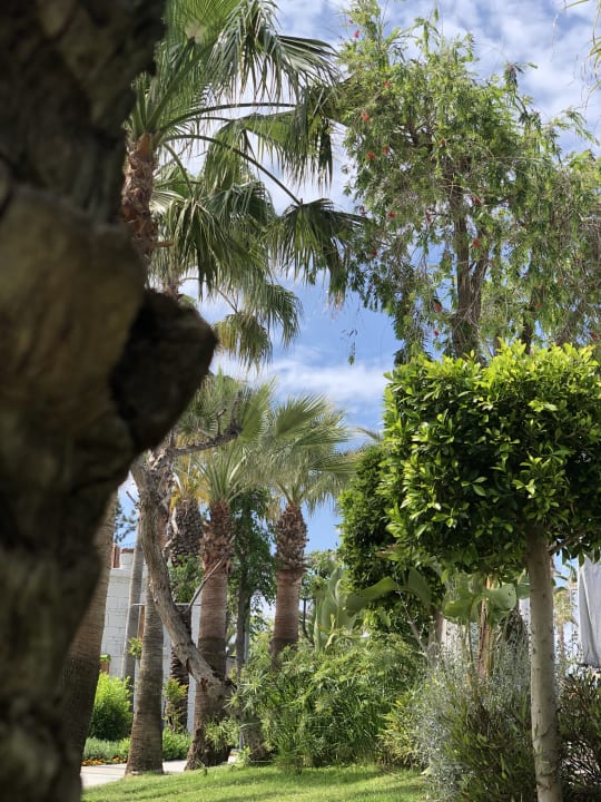 Gartenanlage Belek Beach Resort Hotel