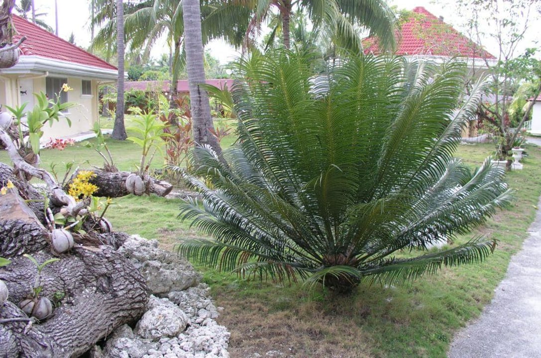 Gartenanlage Hotel Whispering Palms Island Resort