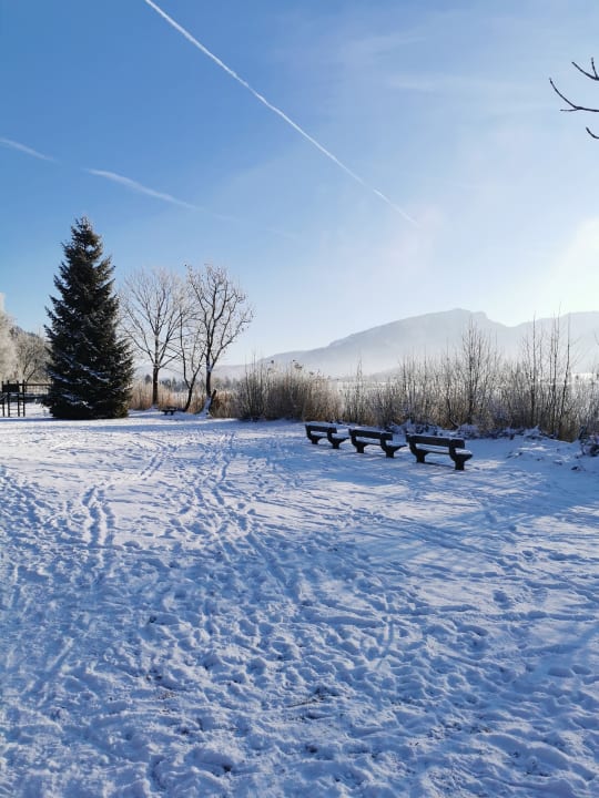 Außenansicht Hotel Bellevue am See