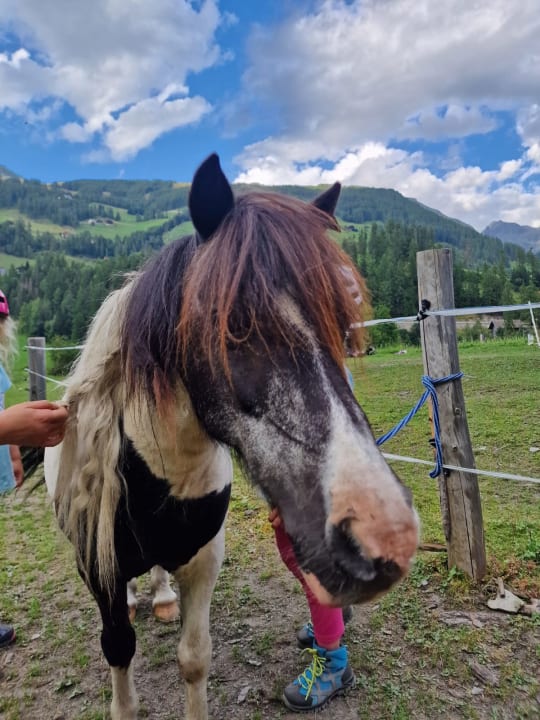 Sport & Freizeit Ferienhaus Bergsee