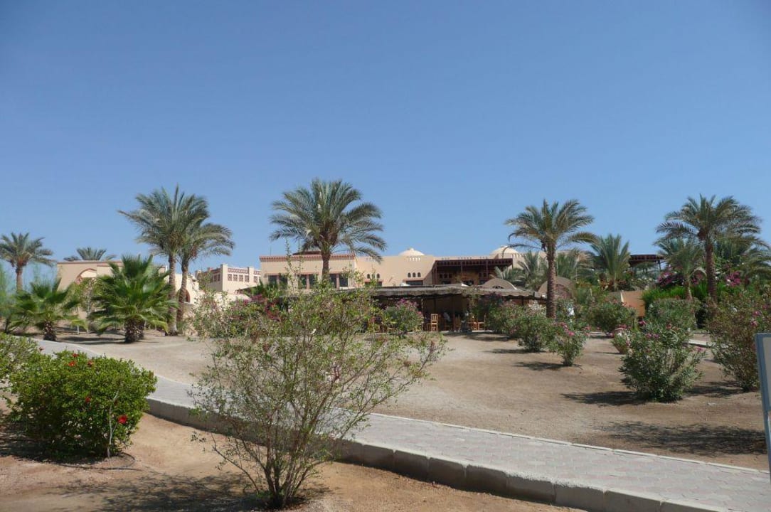 Beachbar Steigenberger Coraya Beach - Adults only