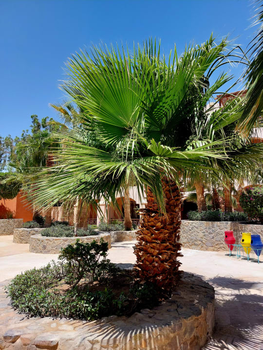 Gartenanlage Sultan Bey Hotel, El Gouna