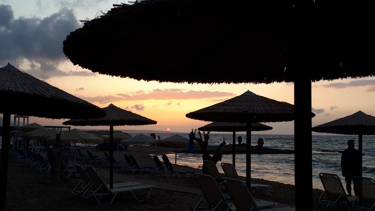 Ausblick allsun Hotel Carolina Mare