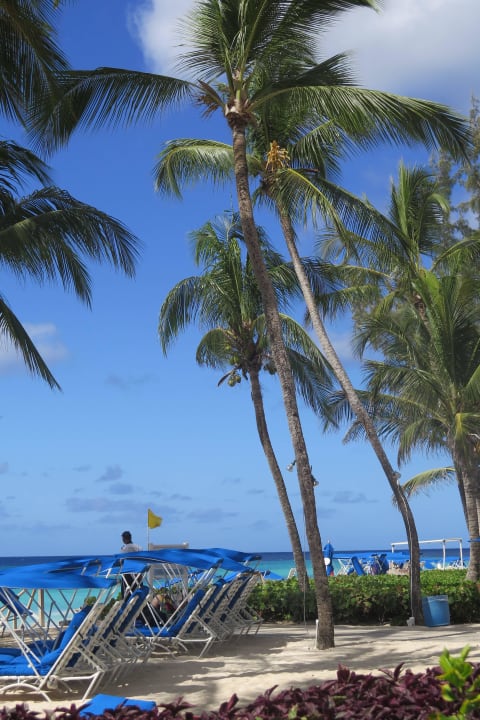 Strandliegen Hotel Turtle Beach Resort