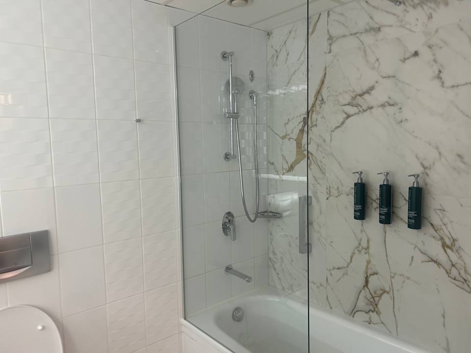 Zimmer Hilton Vienna Park