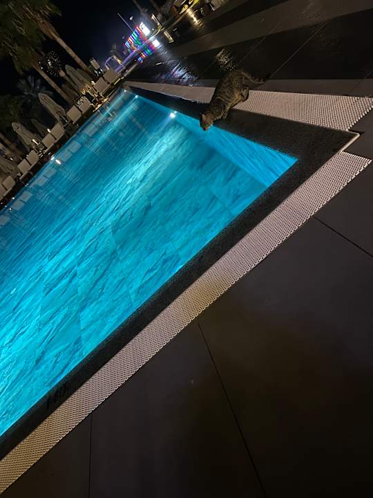 Pool Lago Hotel