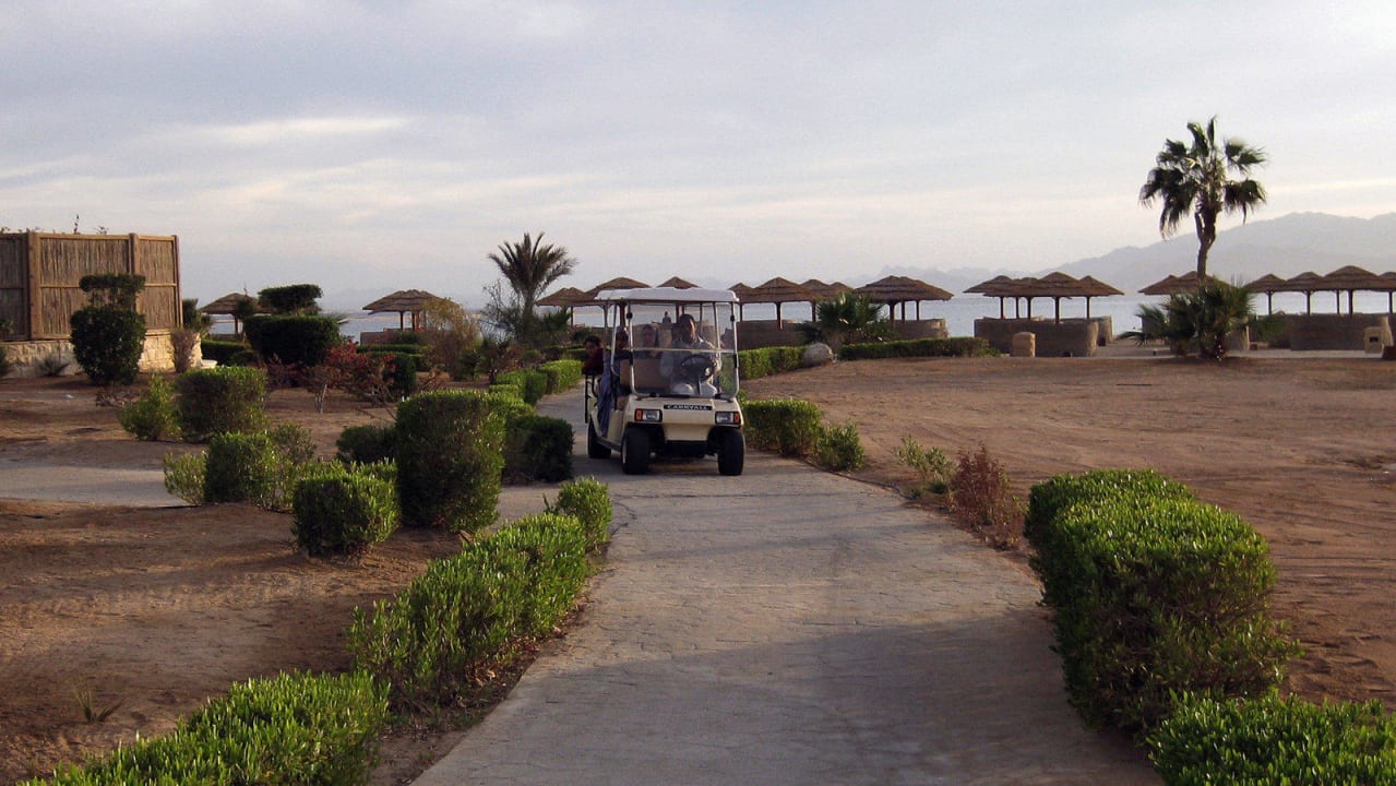 Shuttlebus Hotel Sheraton Soma Bay Resort