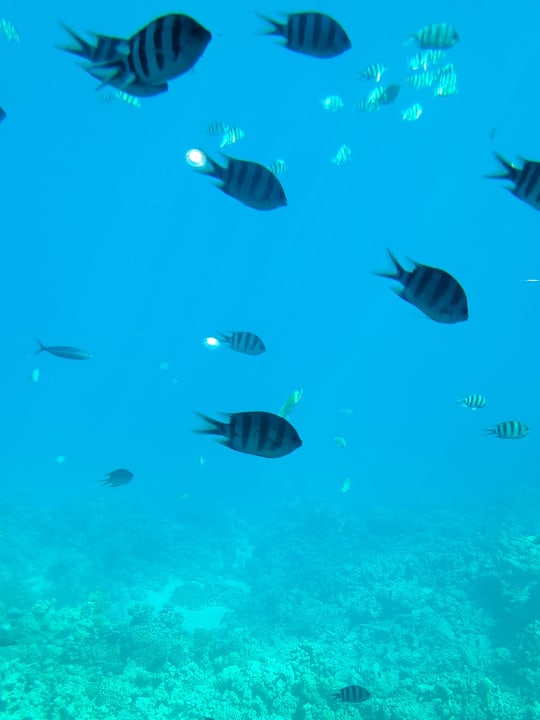 Sonstiges Stella Beach Resort & Spa Makadi Bay