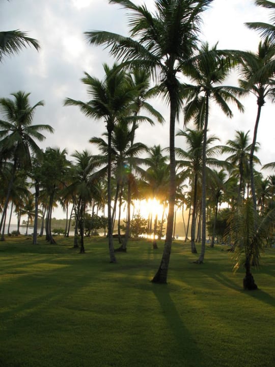 Hotelbucht Wyndham Alltra Samana