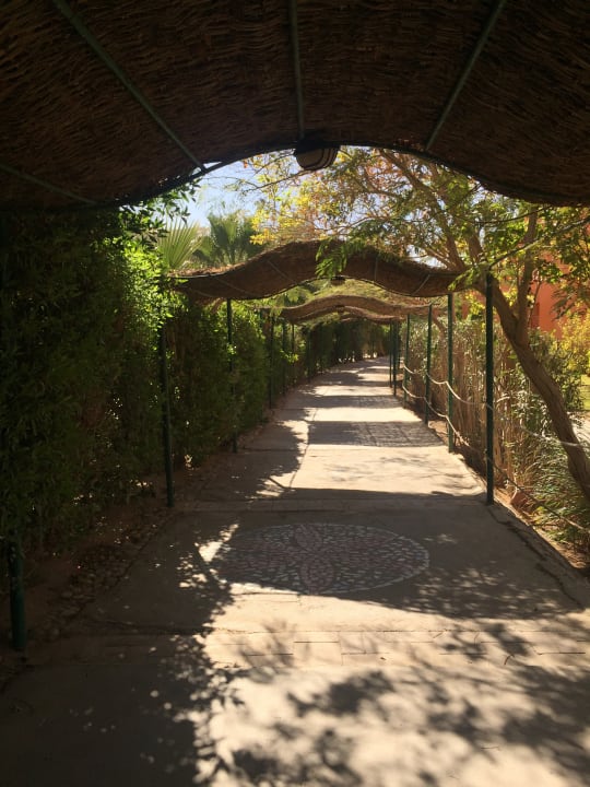 Strand Jaz Makadi Oasis Resort