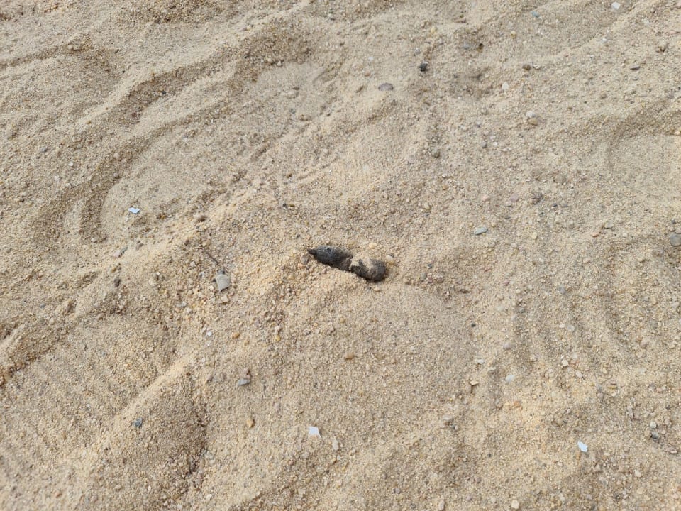 Strand The Grand Palace - Adults only