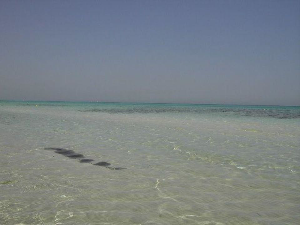 Glasklares Wasser Hotel Royal Garden Palace