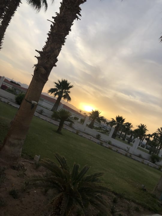 Gartenanlage Pickalbatros Golf Beach Resort