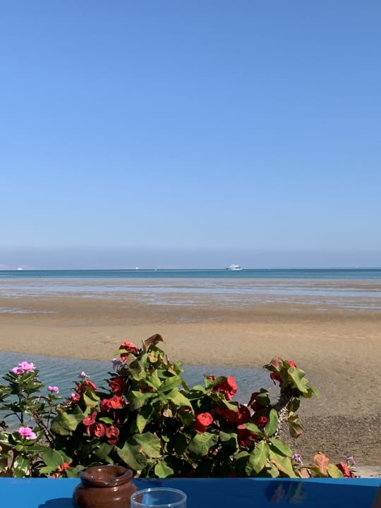 Ausblick Club Paradisio El Gouna, Red Sea