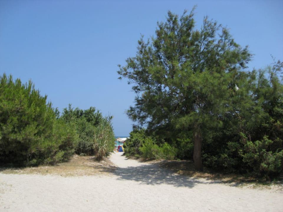 der Weg zum Strand Iberostar Selection Albufera Park