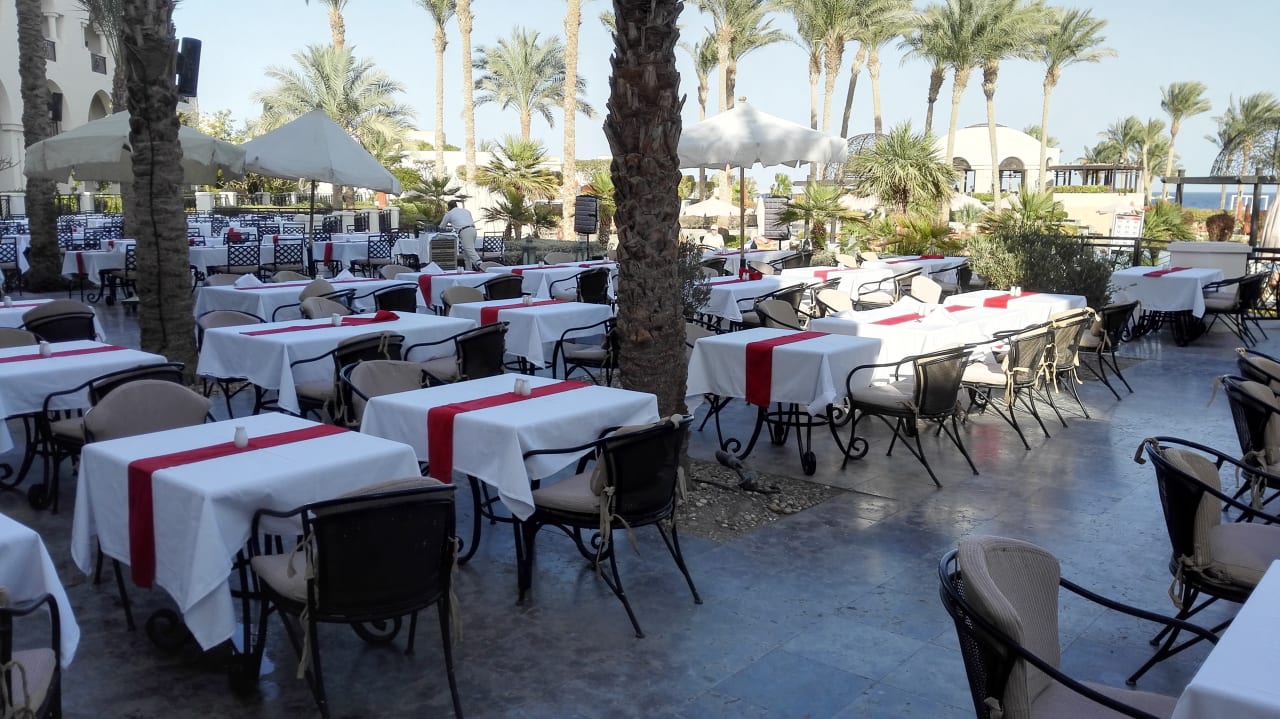 Gastro Pickalbatros Palace Hotel-Port Ghalib