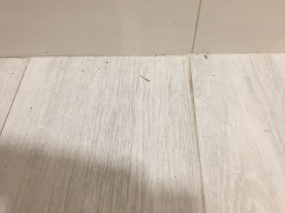 Zimmer Alcudia Garden Aparthotel