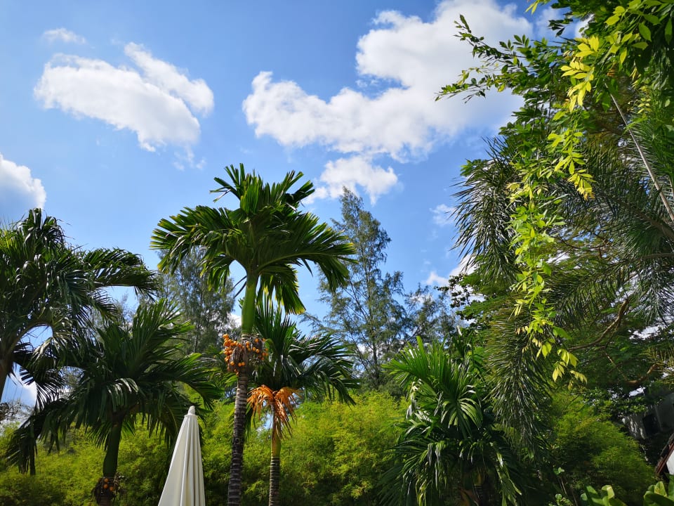 Gartenanlage Sunwing Kamala Beach