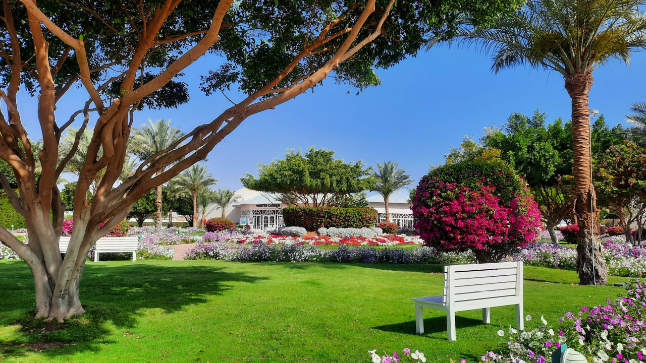 Gartenanlage Desert Rose