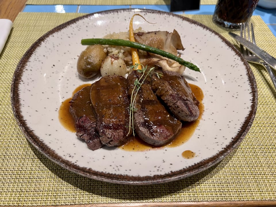 Gastro Acanthus Cennet Barut Collection