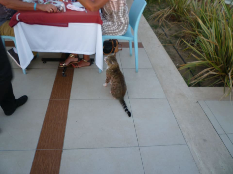 Mehr Bauernhof Ephesia Holiday Beach Club