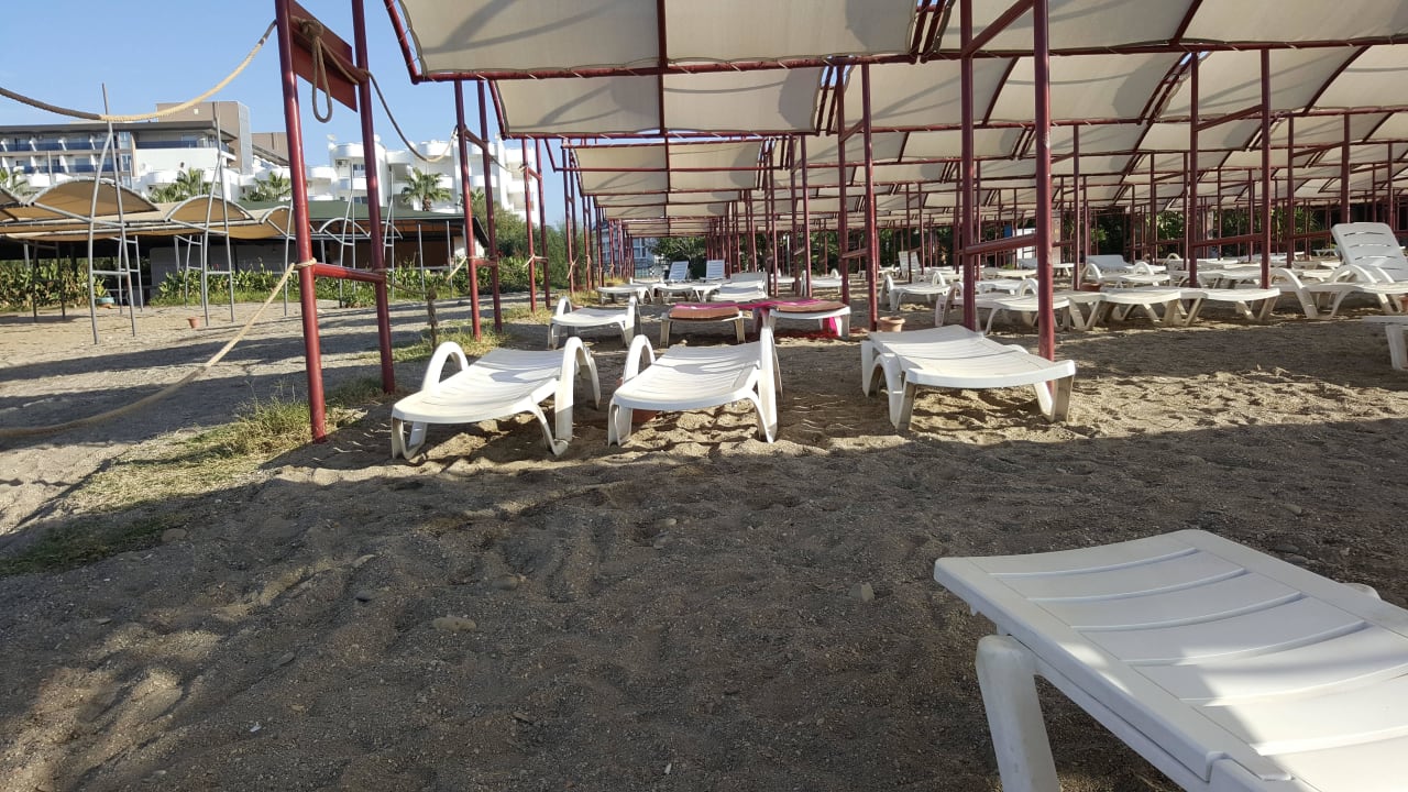 Genug freie Liegen  Solivia Hotel