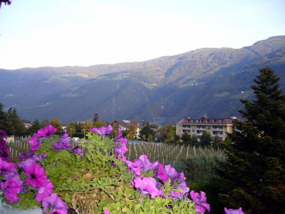 Zimmerausblick vom Balkon Sonnen Resort