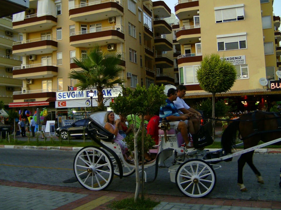 Touristic Mahmutlar before our apartments Apartments Barbaros
