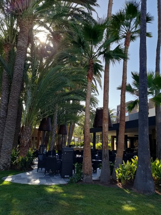 Gartenanlage Hotel Riu Palace Oasis