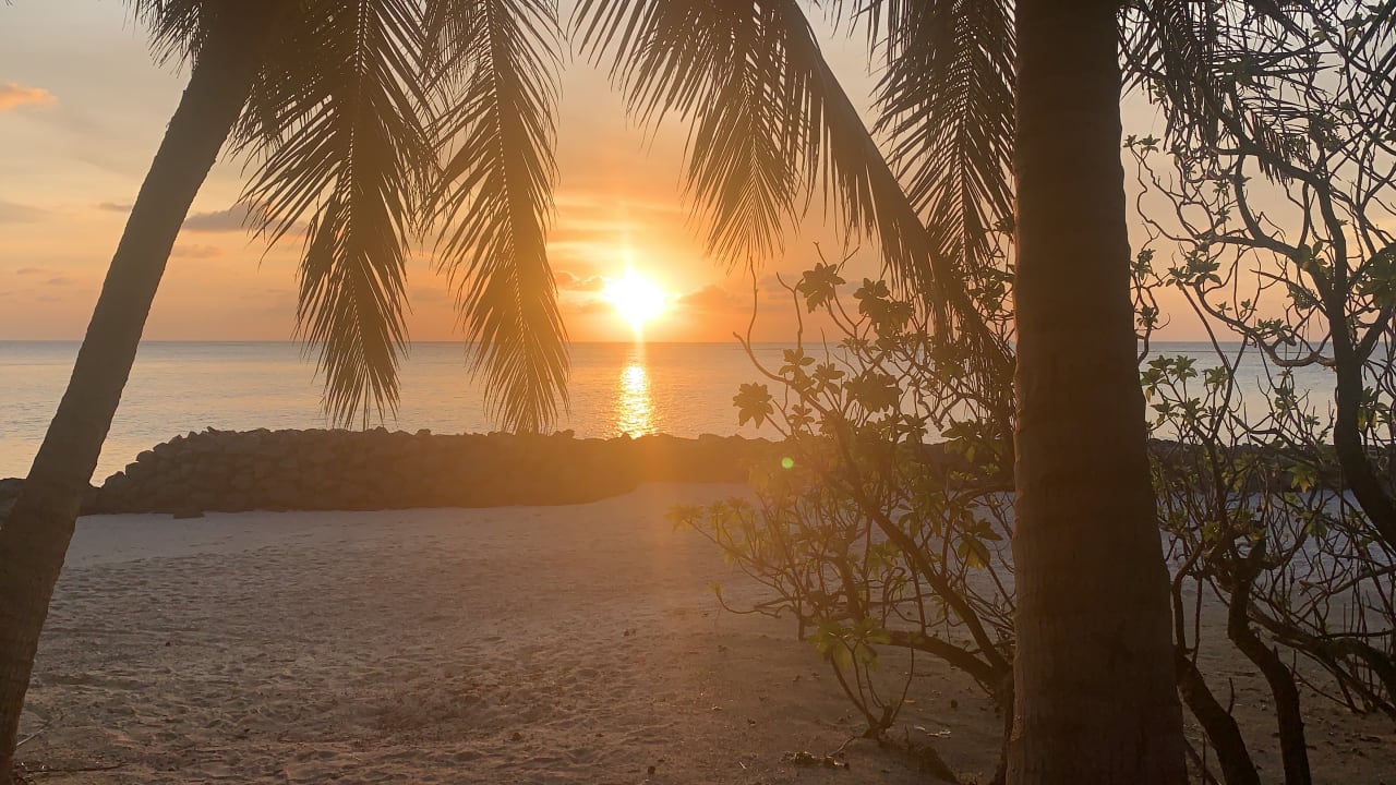 Strand Summer Island Maldives