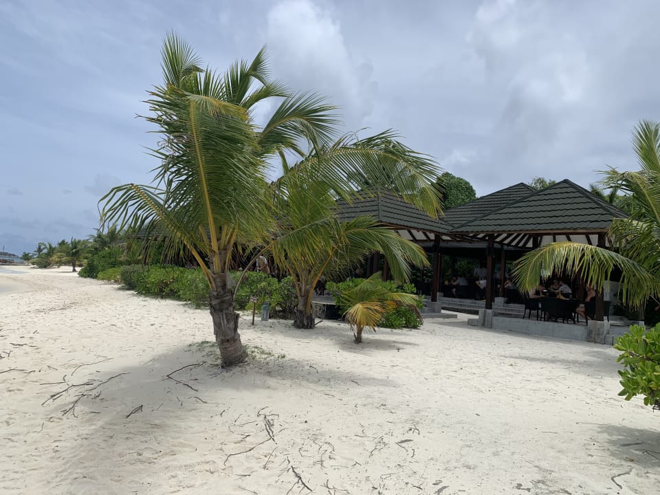 Gartenanlage Adaaran Select Meedhupparu Island Resort - Premium All Inclusive