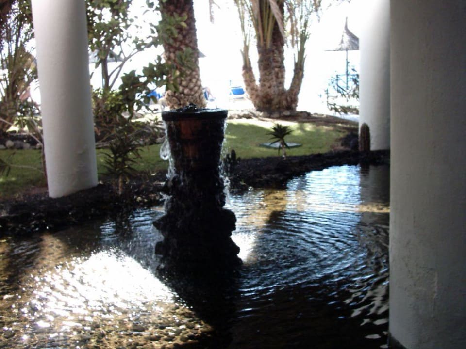 Garten 01 Melia La Palma Hotel