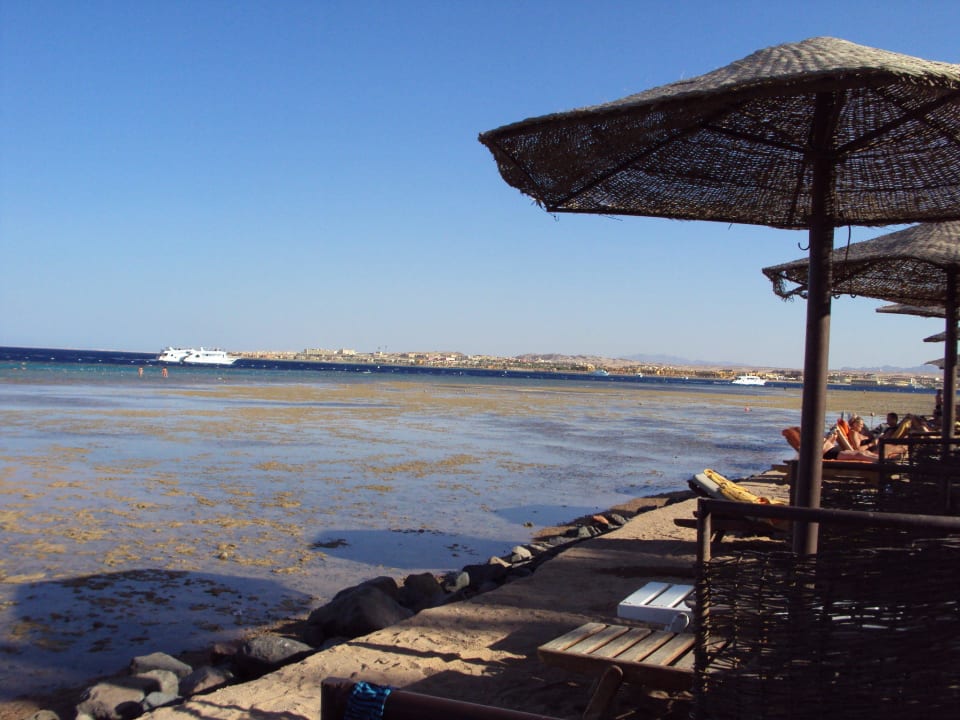 Meer bei Ebbe Makadi Palace