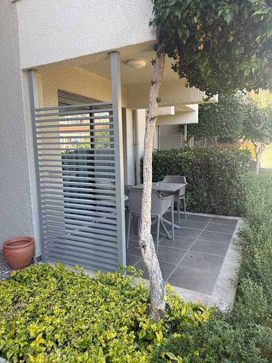 Zimmer Arum Barut Collection