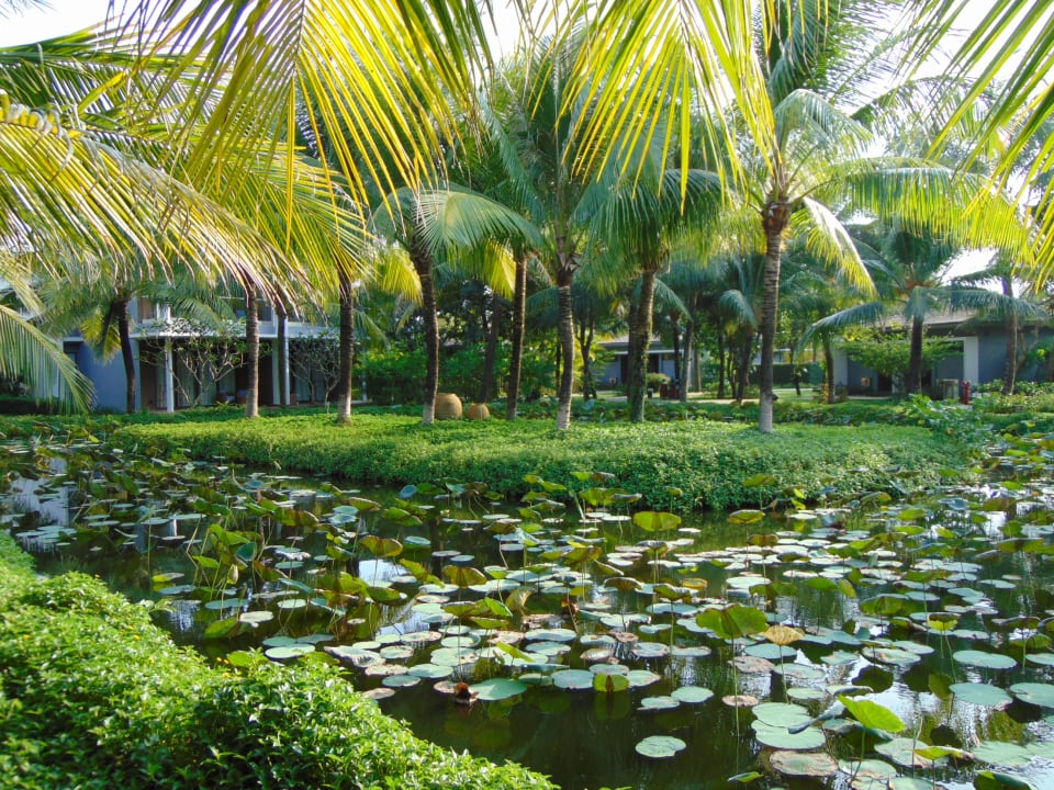 Gartenanlage Novotel Phu Quoc Resort