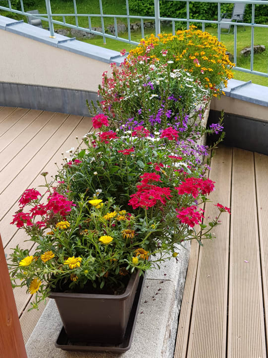 Zimmer Hotel Lumberger Hof