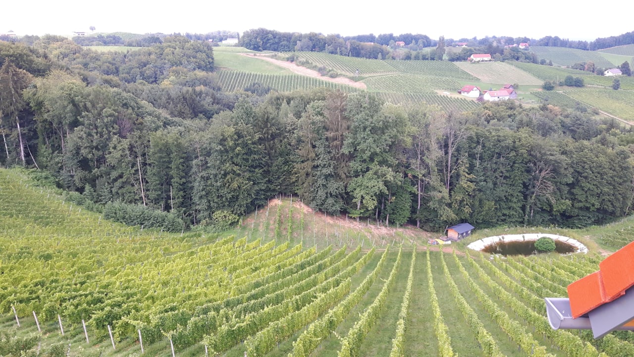 Zimmer Weingut-Gästehaus Birnstingl