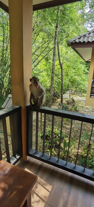 Gartenanlage The Bliss Khao Sok Boutique Lodge