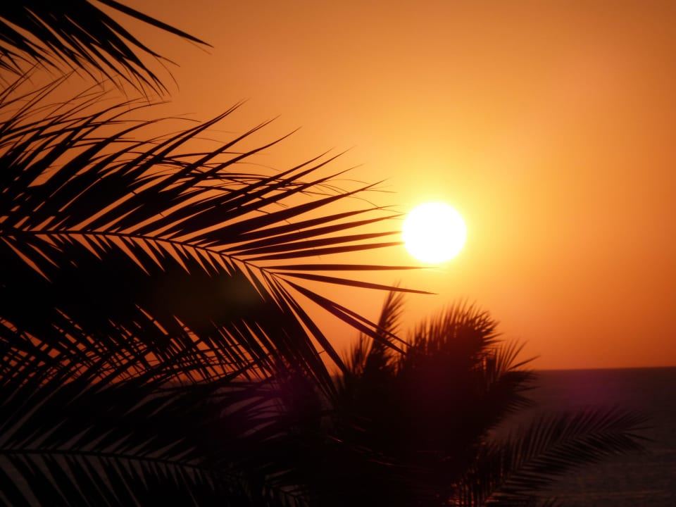 Sonnenaufgang Steigenberger Coraya Beach - Adults only