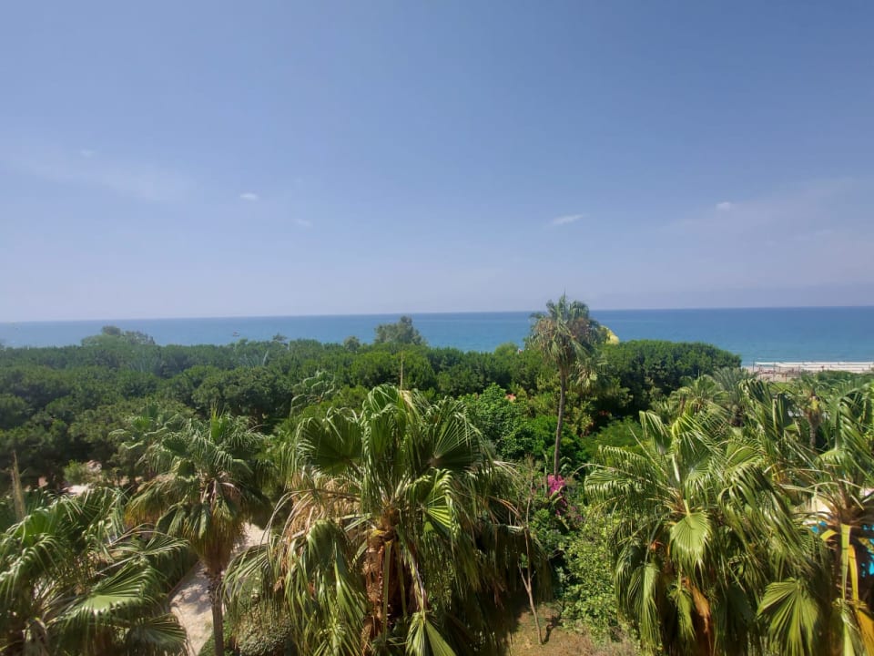 Ausblick Club Turtas Beach Hotel