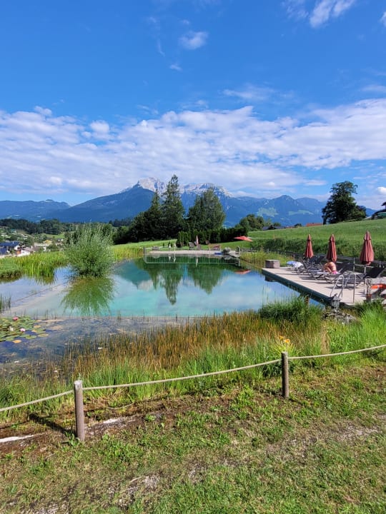 Pool Naturhotel Reissenlehen