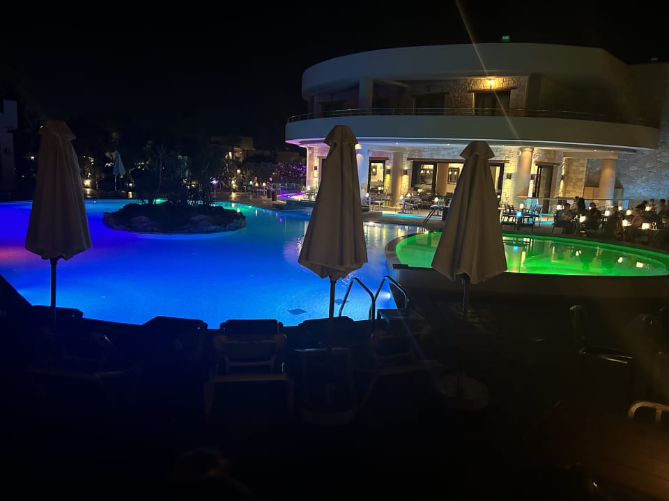 Pool Cactus Royal
