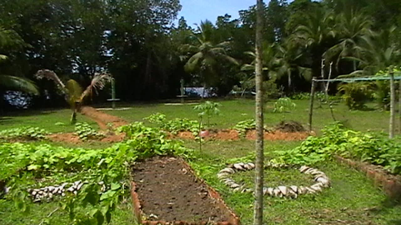 Gartenanlage Mangrove villa