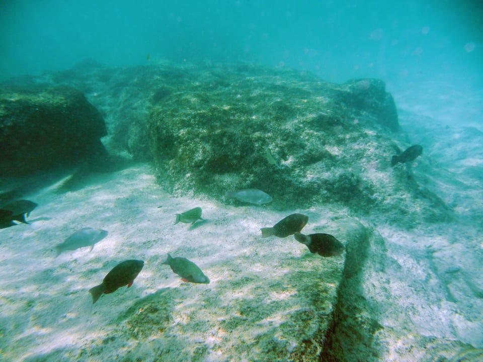 Sport & Freizeit Hotel Patatran Village