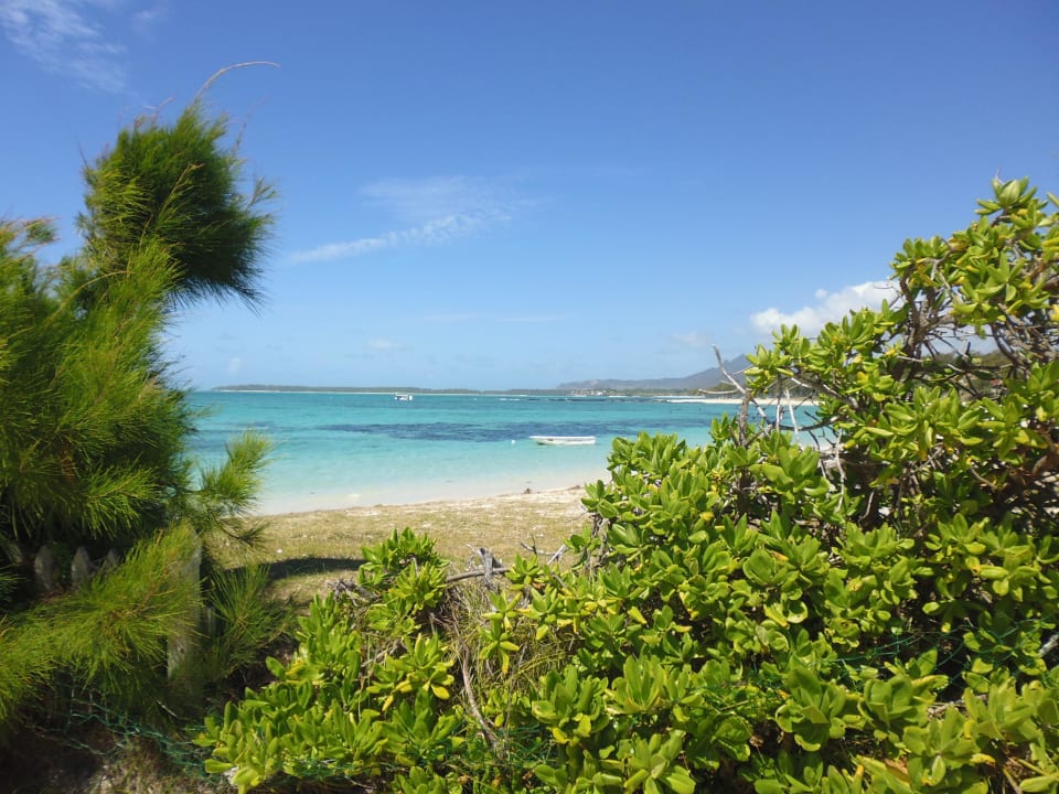 Strand Friday Attitude