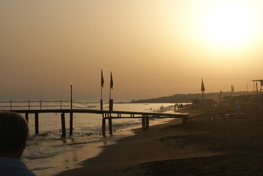 Закат Marvida Family Eco