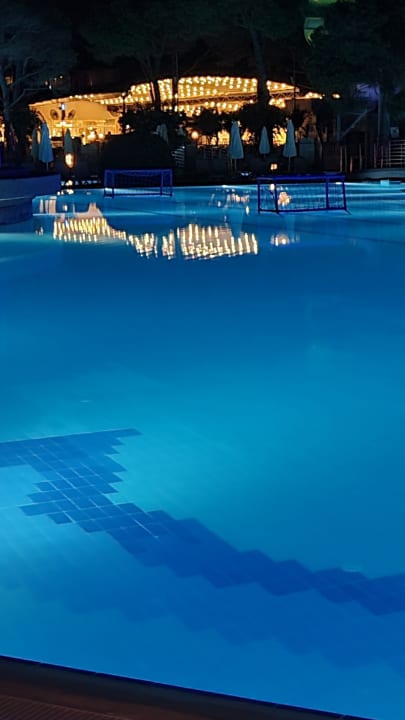 Pool Papillon Ayscha