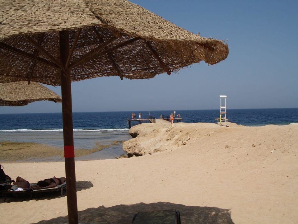 Strand Serenity Alpha Beach