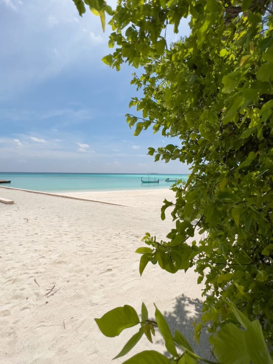 Strand Summer Island Maldives