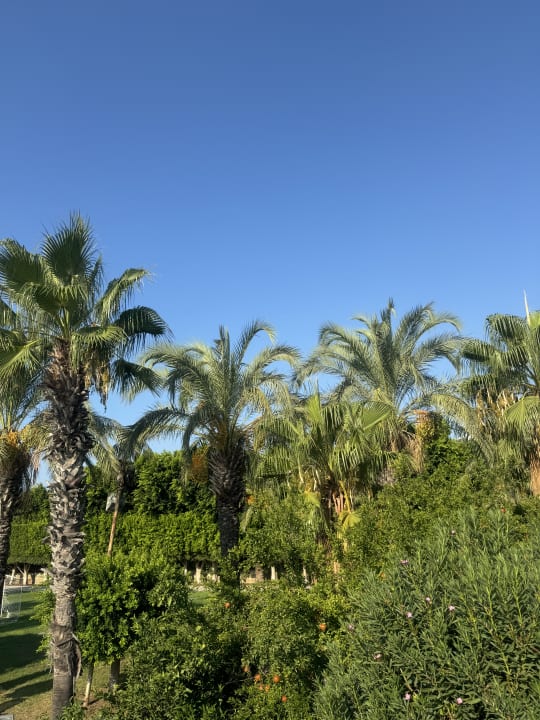 Gartenanlage Sherwood Exclusive Lara